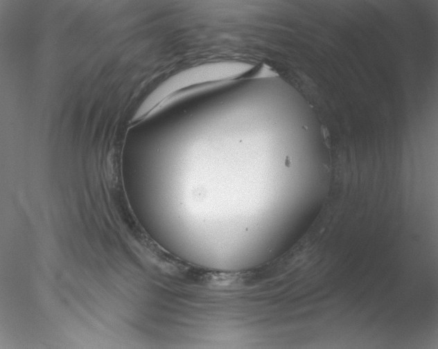 X0000076420088200611031825