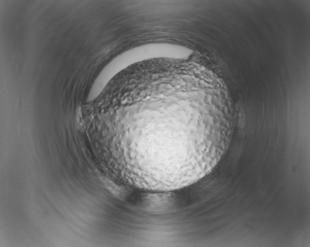 X0000076420089200611031825