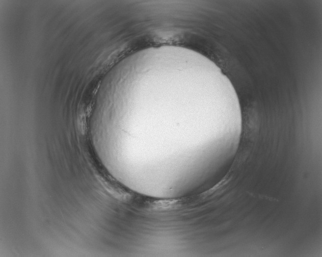 X0000076420090200611031825