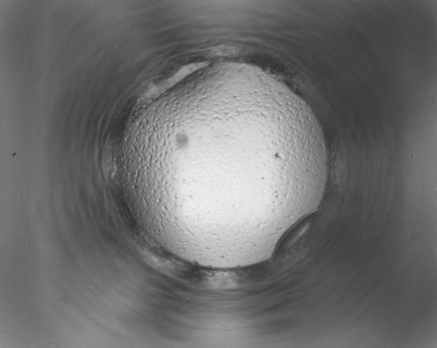 X0000076420091200611031825