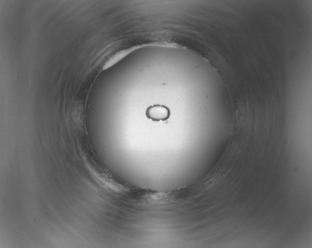 X0000076420092200611031825