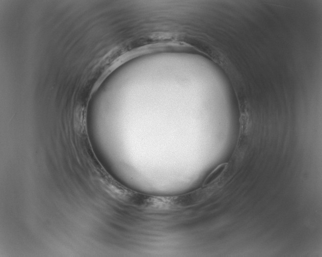 X0000076420093200611031825