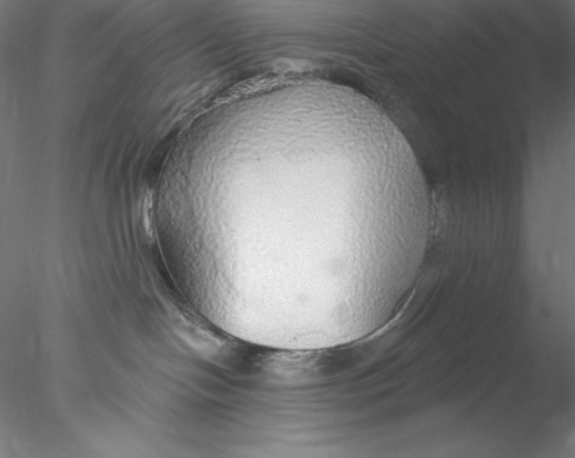 X0000076420094200611031825