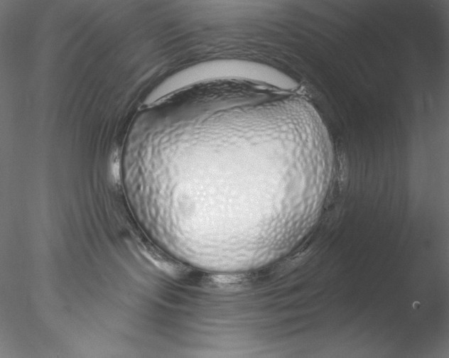 X0000076420095200611031825