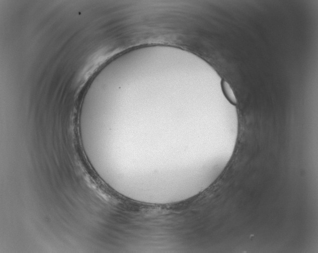 X0000076420098200611031824