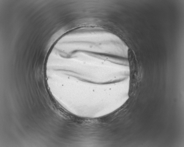 X0000076420099200611031824