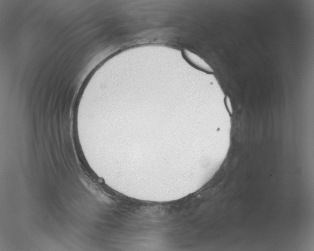 X0000076420100200611031824