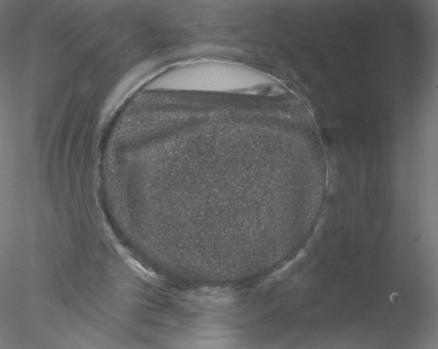 X0000076420101200611031824