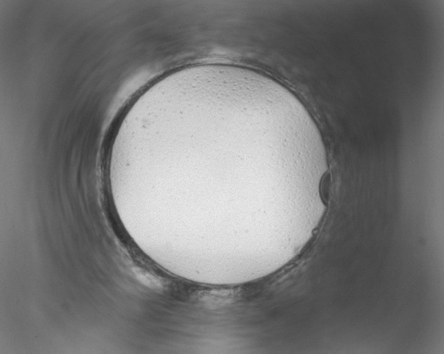 X0000076420102200611031824