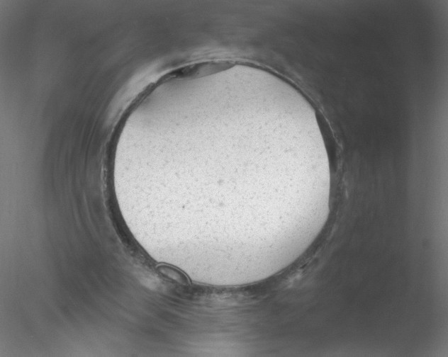 X0000076420103200611031824