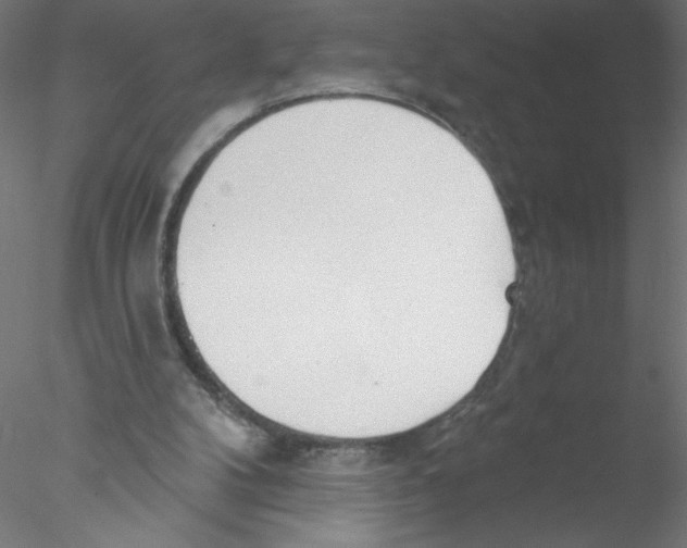 X0000076420104200611031824