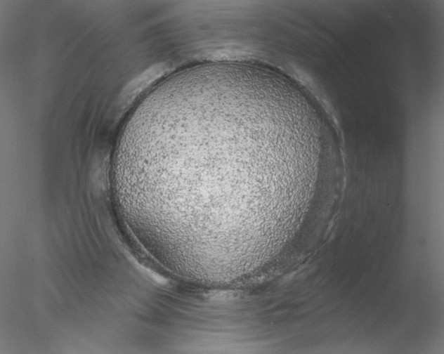 X0000076420105200611031824