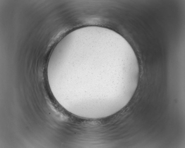 X0000076420106200611031824