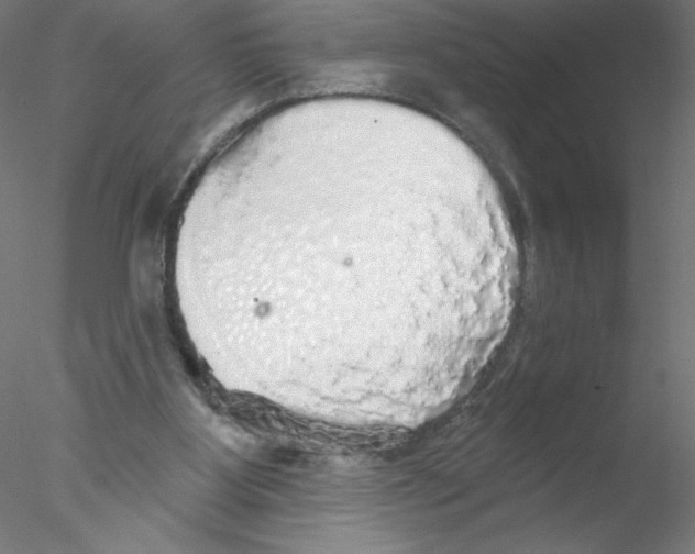 X0000076420107200611031824