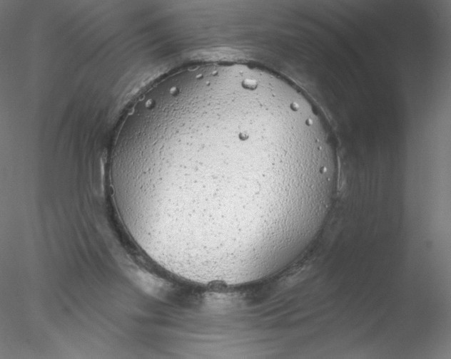 X0000076420109200611031824