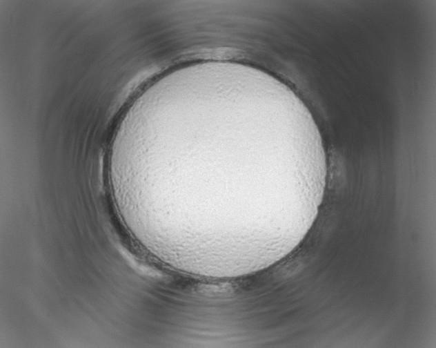 X0000076420110200611031824