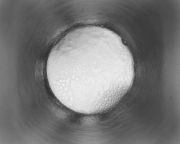 X0000076420115200611031824