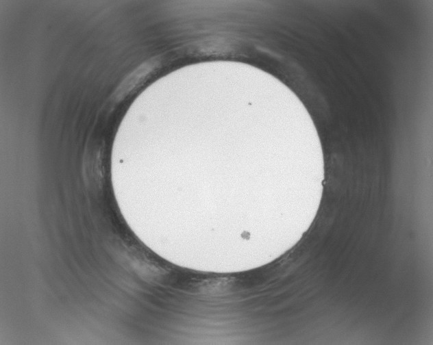 X0000076420116200611031824