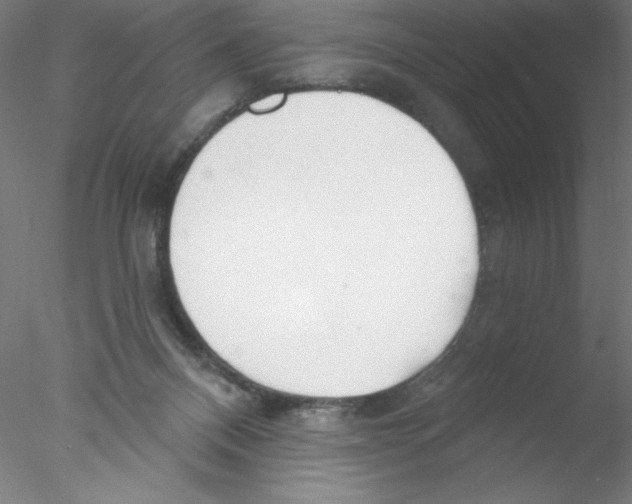 X0000076420120200611031823