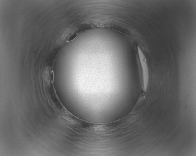 X0000076420121200611031823