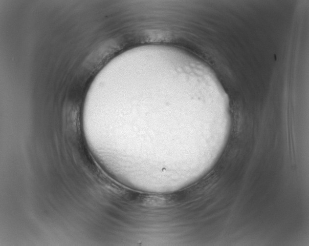 X0000076420123200611031823