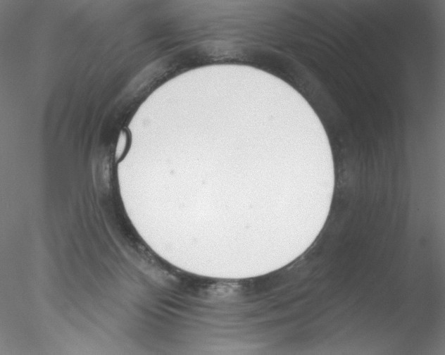 X0000076420124200611031823