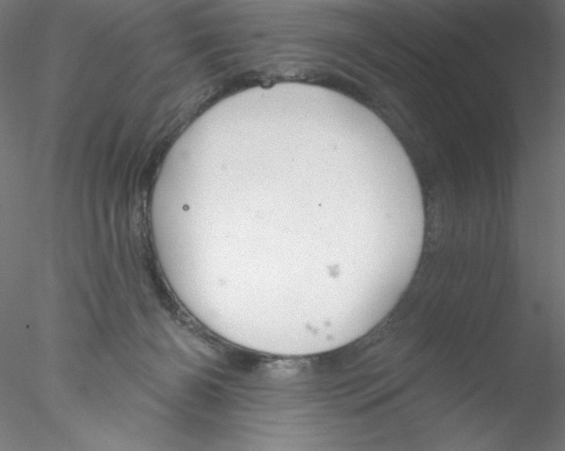 X0000076420126200611031823