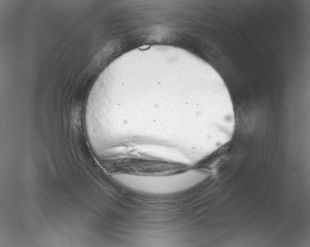 X0000076420127200611031823