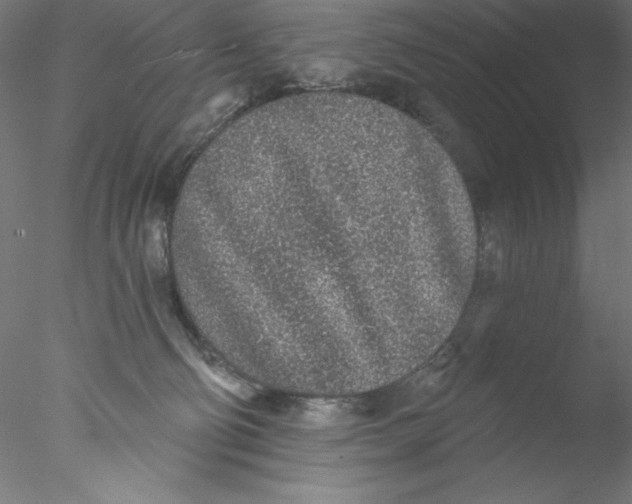 X0000076420130200611031823