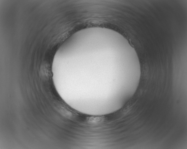 X0000076420135200611031823