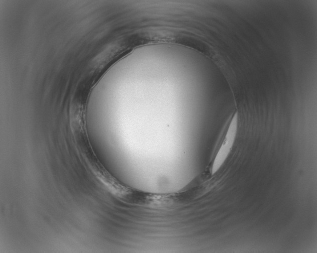 X0000076420141200611031823