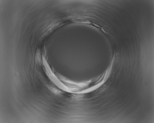 X0000076420143200611031823