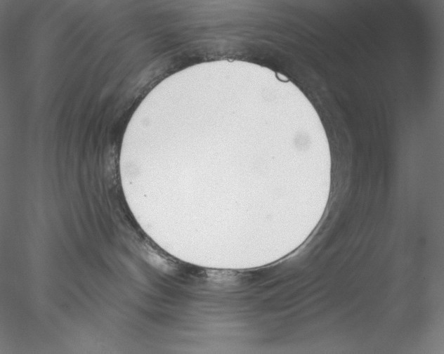 X0000076420144200611031823