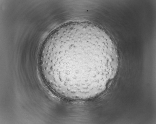 X0000076420145200611031822