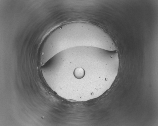 X0000076420146200611031822