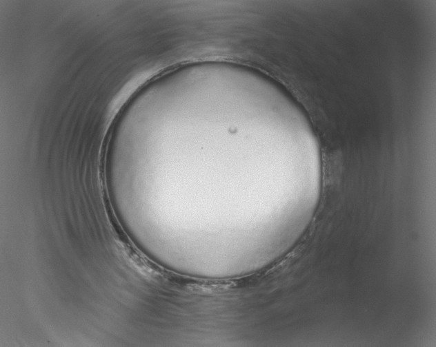 X0000076420147200611031822