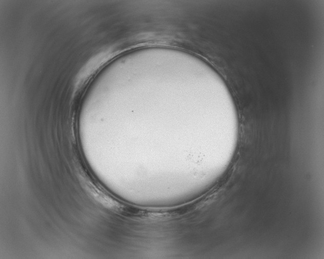 X0000076420149200611031822