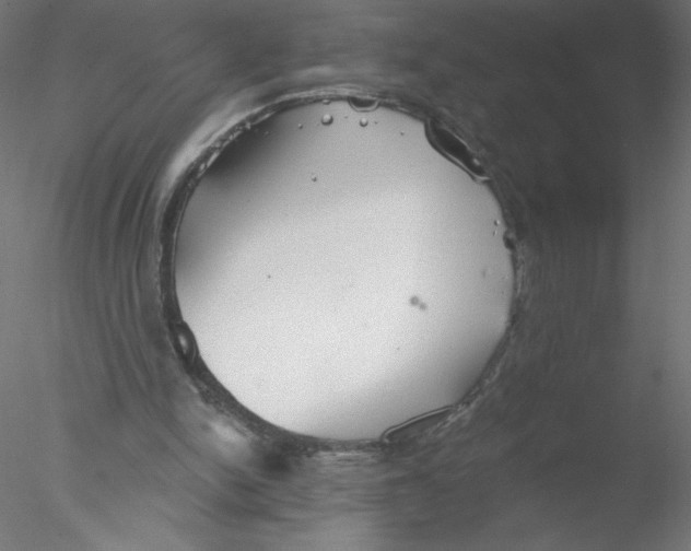 X0000076420150200611031822