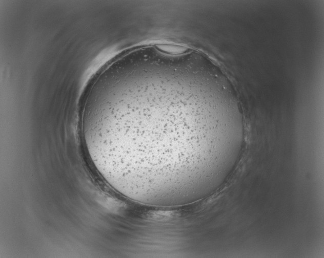 X0000076420152200611031822