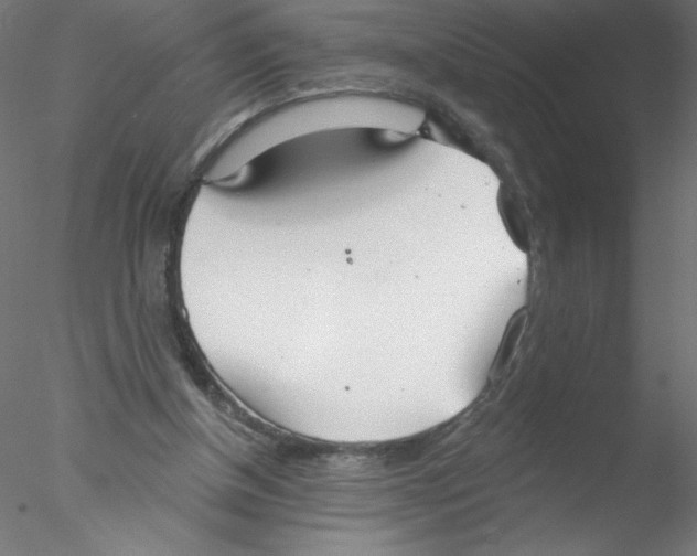 X0000076420154200611031822