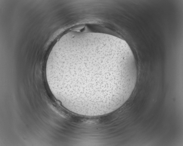 X0000076420155200611031822