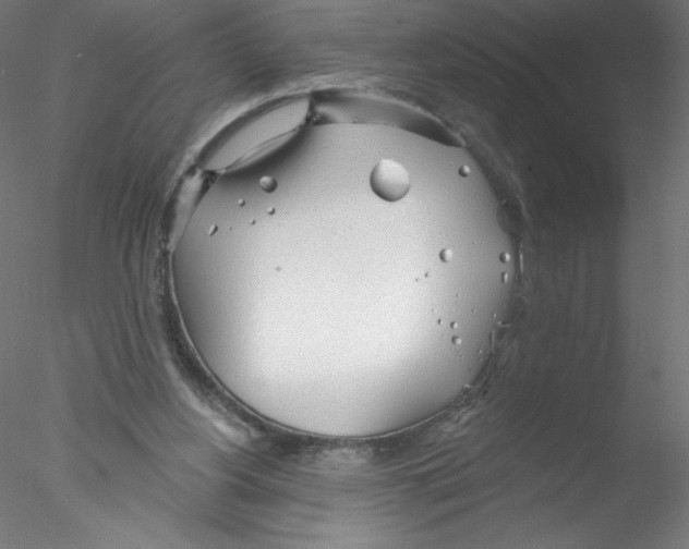 X0000076420156200611031822