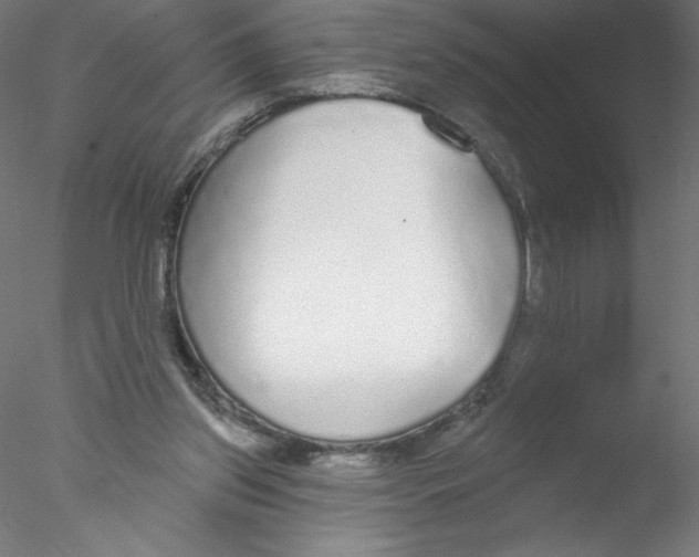 X0000076420157200611031822