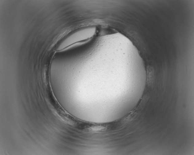 X0000076420158200611031822