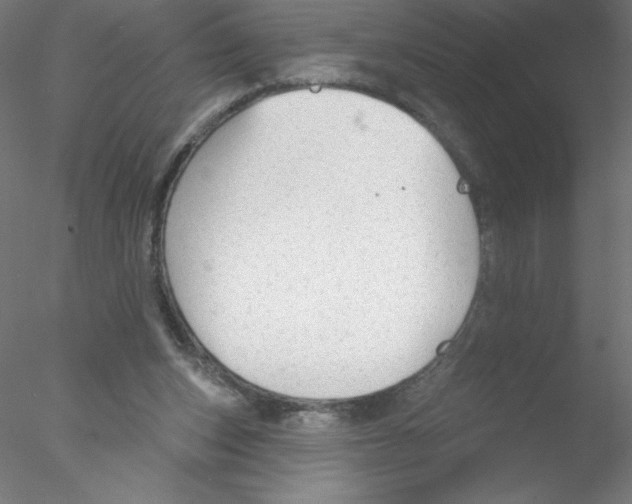 X0000076420159200611031822