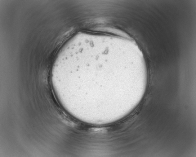 X0000076420161200611031823