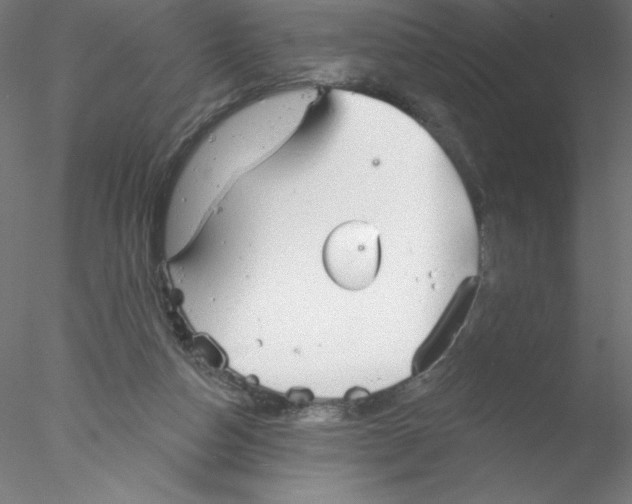 X0000076420162200611031823