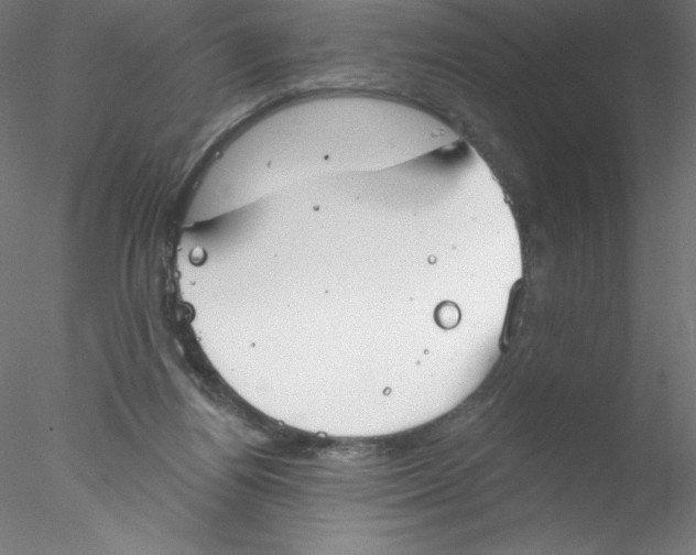 X0000076420164200611031823