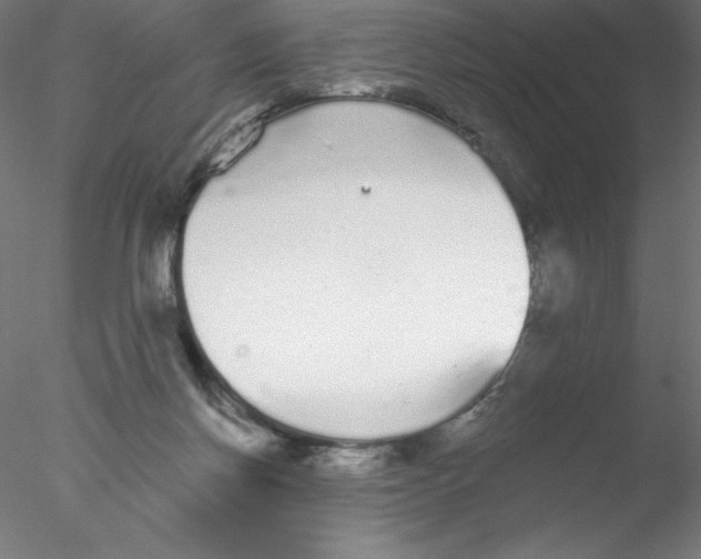 X0000076420166200611031823