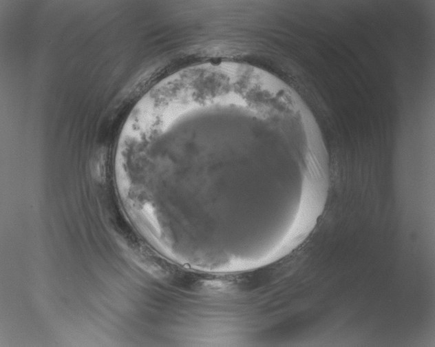 X0000076420167200611031823